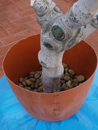 Pedres al fons per a millorar el drenatge 