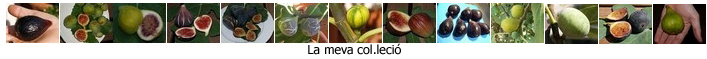 La meva col.lecci&oacute;