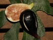 Dama Valenciama