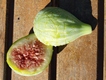 Cucurella