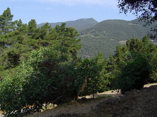 Montseny 23-Juny-2005