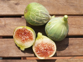Cendrosa