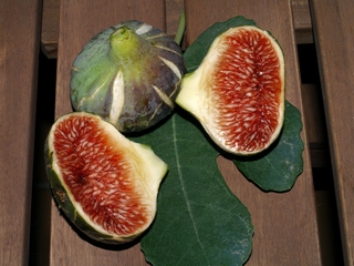 Cendrosa