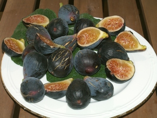 Noire de Caromb