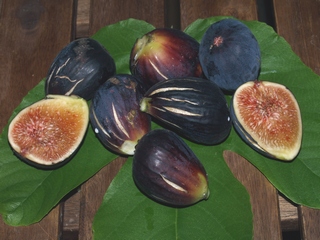 Figues d'estiui