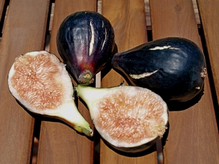 Figues Flors Negra de Sant Boi 