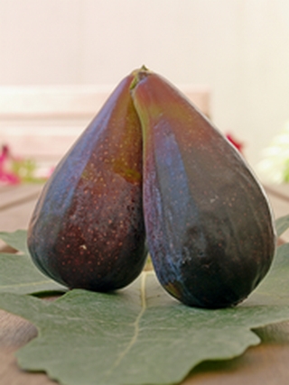 Figues  Negra de Sant Boi 