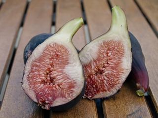 Figues flors de Sant Antoni de Calonge