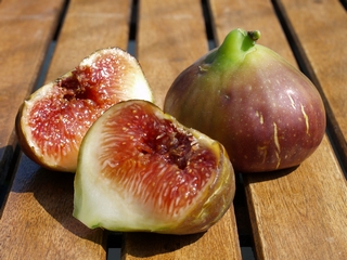 Madeleine des deux saisons