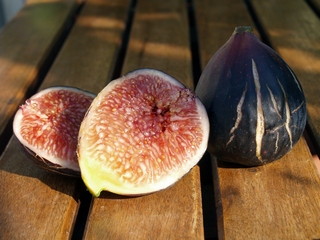 Dama Valenciana