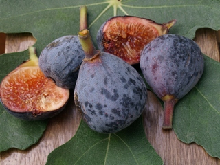 Pastiliere