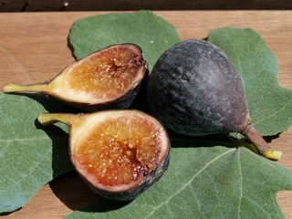 Pastiliere