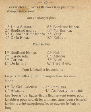 Bourjassot Blanc