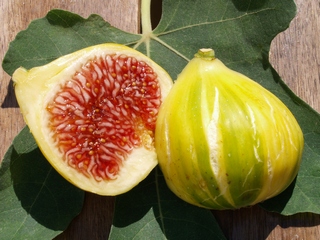 Carabasseta