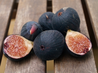 Petite Negri