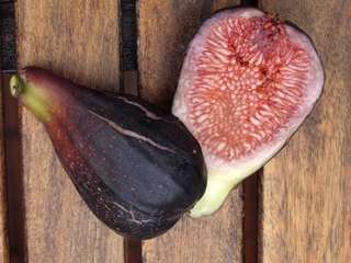 Figa Plàtan