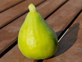 Tena