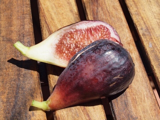 Roja de Mallorca
