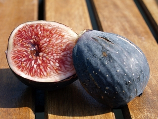 Pellejo de Toro