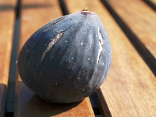 Pellejo de Toro