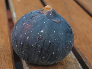 Pellejo de Toro