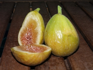 Goutte d'or