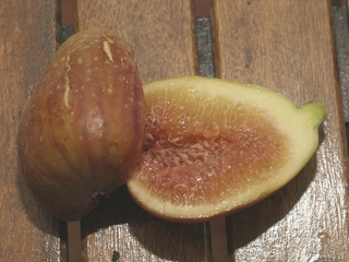 Goutte d'or