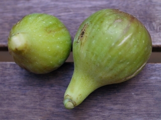  Kinetta Attica