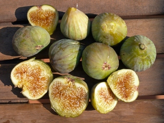 Campdàsens