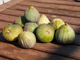 Campdàsens