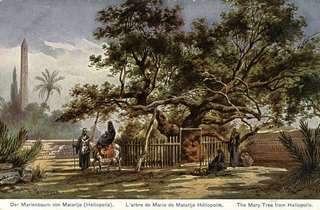 De la Verge Maria de Al-Matariya