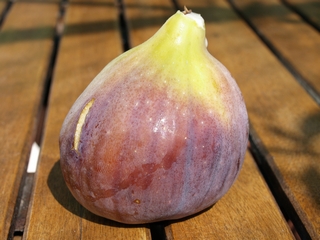 Rosso di Trani