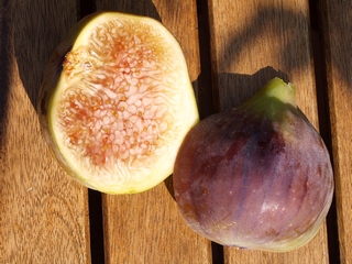 Rosso di Trani