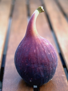 Su-Zhuo