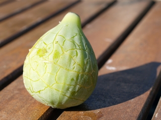 Cucurella