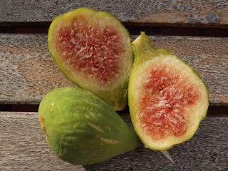 Cucurella