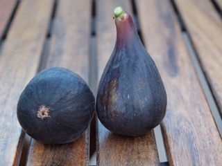 Albacor de molla vermella