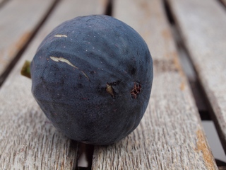 Albacor de molla vermella